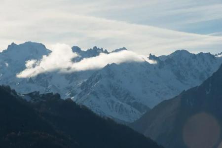 Bristol Verbier - 49