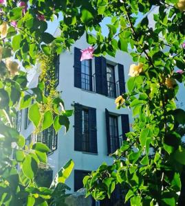 Savra Bodrum - 26
