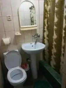 Лев - 9