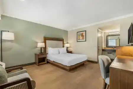 Best Western Plus - 39
