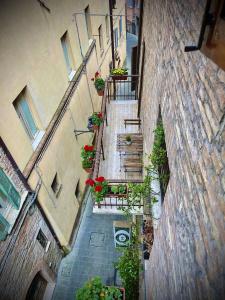 S. Ercolano - 23