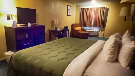 Quality Inn Airport - 59