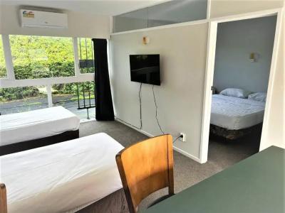 Ranfurly Evergreen - 12