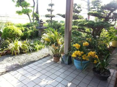 Nakamura House - 17