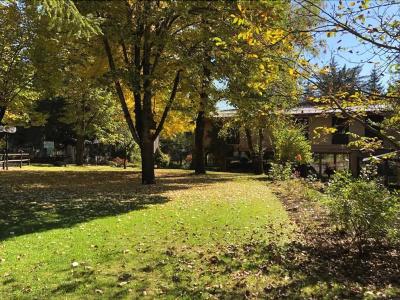 Albergo Il Picchio - 29
