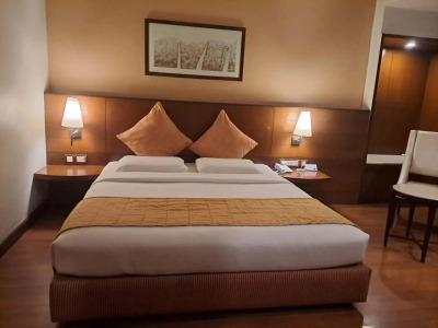 La Sara Grand Formerly Known as Nandhana Grand - 11