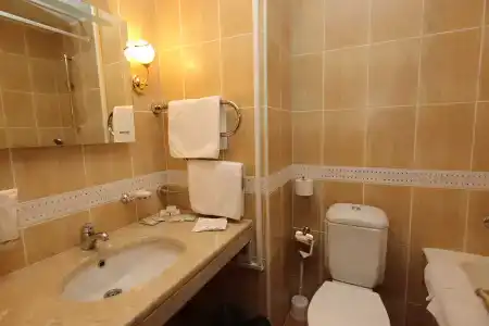 Бор - 10