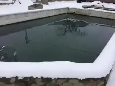 Золотая рыбка - 4