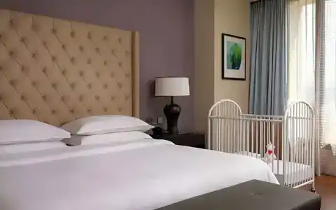 Hilton - 51