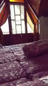 Bolu Yildiz - 39