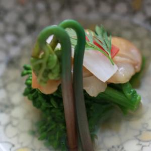 Kizashi The Suite - 11