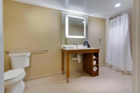 SpringHill Suites by Marriott Orlando Lake Buena Vista South - 31