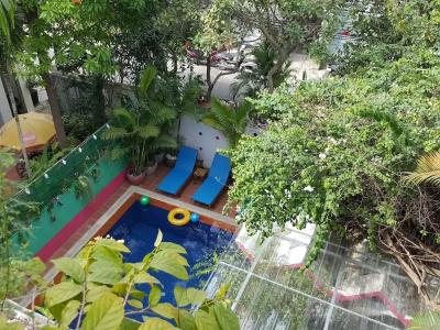 The Little Garden Boutique - 49