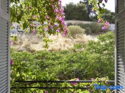 Athens Green - 71