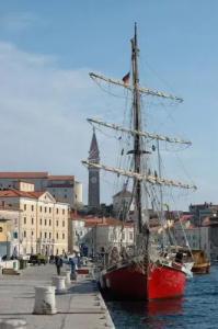 Max Piran - 13