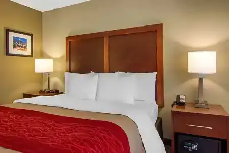 Comfort Inn Sandy Springs – Perimeter - 43