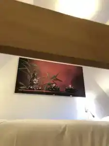 Asiris - 104