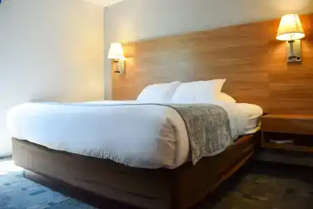 Comfort Inn - 51