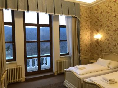 Chateau Cihelny - 45