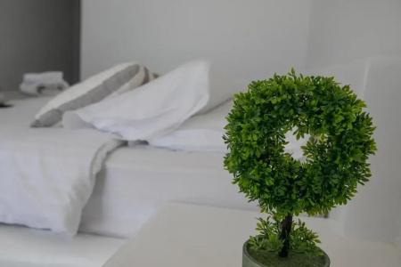 Acrogiali Beach Mykonos - 72