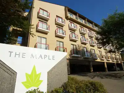 Maple Arima - 50