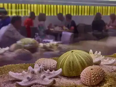 Bq Amfora Beach - 26