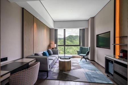 The g Shenzhen, a Tribute Portfolio - 53