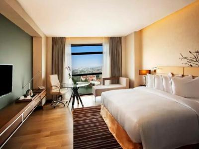 Hilton Colombo Residence - 36