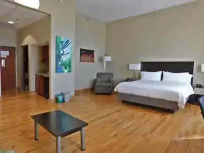 Holiday Inn Express Downtown, An Ihg - 33