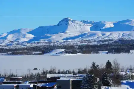 Icelandic - 34