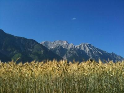 Austria Classic Heiligkreuz - 18