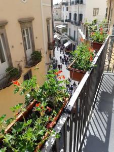 Antica Repubblica Amalfi - 74