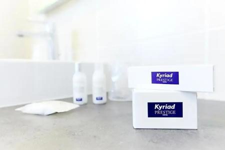 Kyriad Prestige Vannes Centre-Palais des Arts - 61