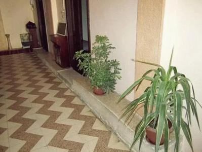Cairo - 9