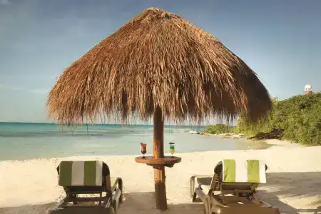 Hyatt Ziva Cancun - 36
