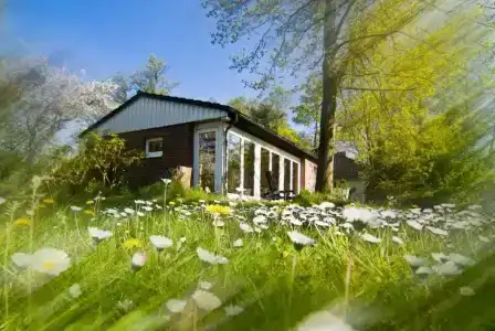 Wassermühle Heiligenthal - 36