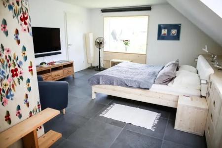 Eco Boutique Ams Beagle - 4