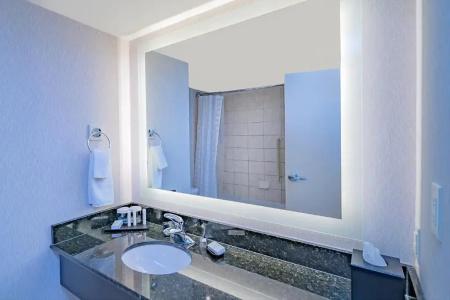 Embassy Suites by Hilton/ Fallsview - 57