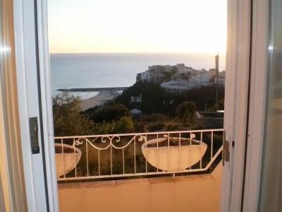 Belvedere - 13