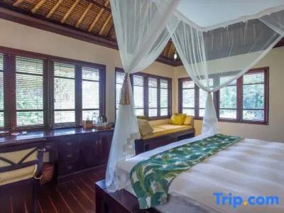 Villa Semana & Spa - 246