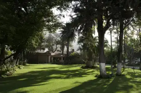Los Olivos Spa - 19