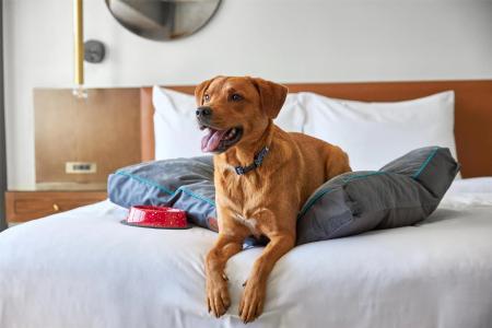 Arc Washington Dc, Georgetown - 32