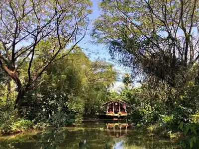 Ekman Garden - 22