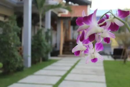 Moloppor Villa - 50