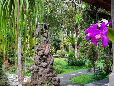 Alam Indah Ubud - 10