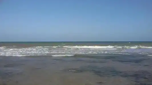 Bahari Pori - 26