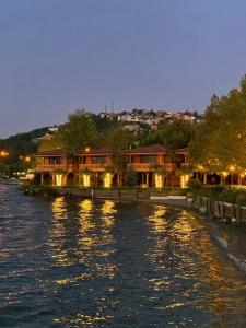 Sasa Harmanlık - 34