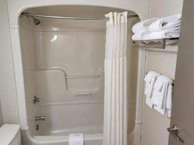 Quality Inn - 36