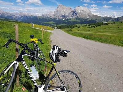 Cavallino D'Oro Bed&Breakfast - 22