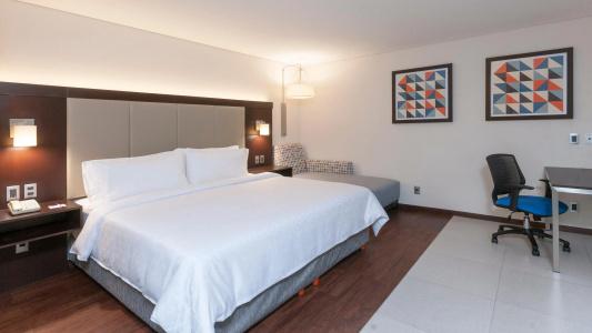 Holiday Inn Express - Mexico Basilica, An Ihg - 4